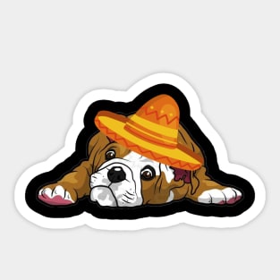 Cute dog bulldog mexico cinco de mayo Sticker